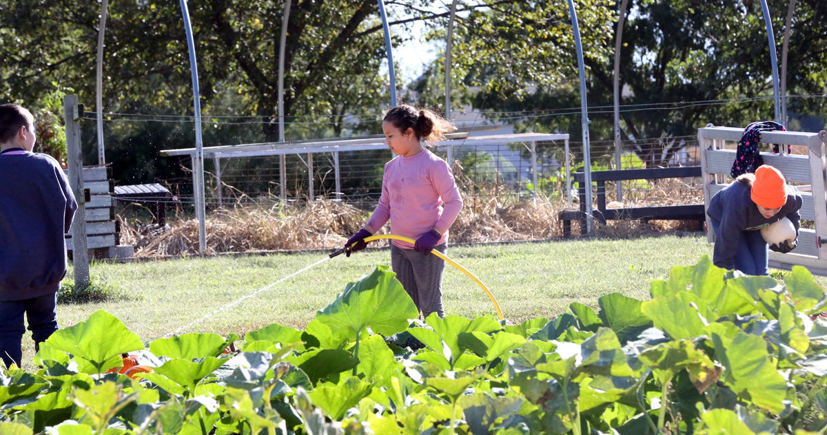 St Joseph Pumpkin Patch (16).jpg